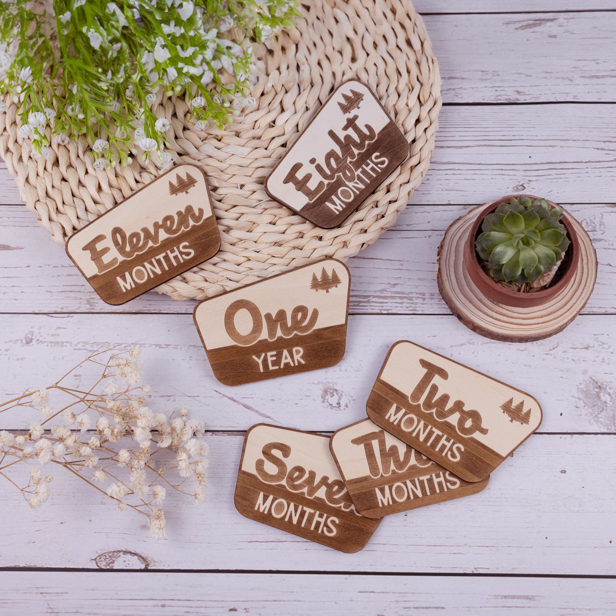 National Park Baby Milestone, Nursery National Park Decor, Baby Monthly Milestone, Wood Baby Milestone Cards, National Park Baby Shower