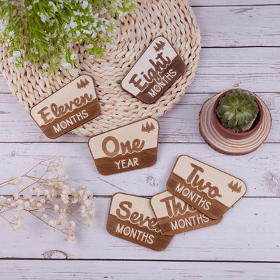National Park Baby Milestone, Nursery National Park Decor, Baby Monthly Milestone, Wood Baby Milestone Cards, National Park Baby Shower