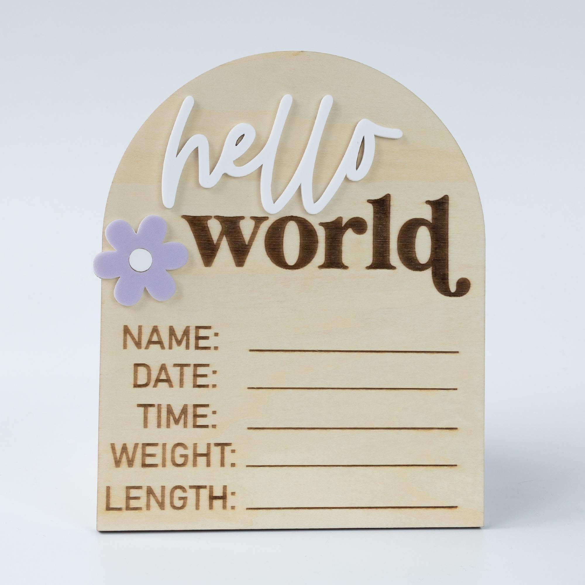 Hello World Sign, Baby Birth Announcement, Baby Name Announcement, Hospital Name Sign, Birth Star Sign, I’m New Here, Surprise Gender Sign