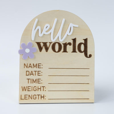 Hello World Sign, Baby Birth Announcement, Baby Name Announcement, Hospital Name Sign, Birth Star Sign, I’m New Here, Surprise Gender Sign