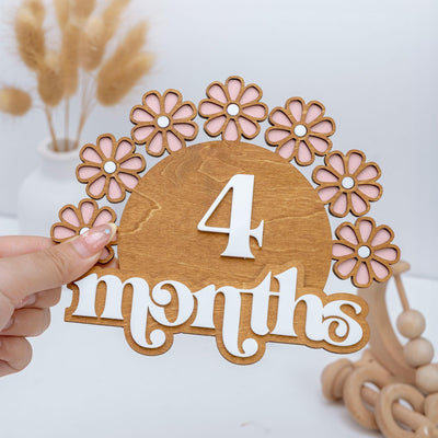 Wooden Baby Milestone Set, Daisy Milestone, Newborn Photo Prop Girl, Monthly Milestones Photo Props, Weekly Newborn, Boho Baby Milestone