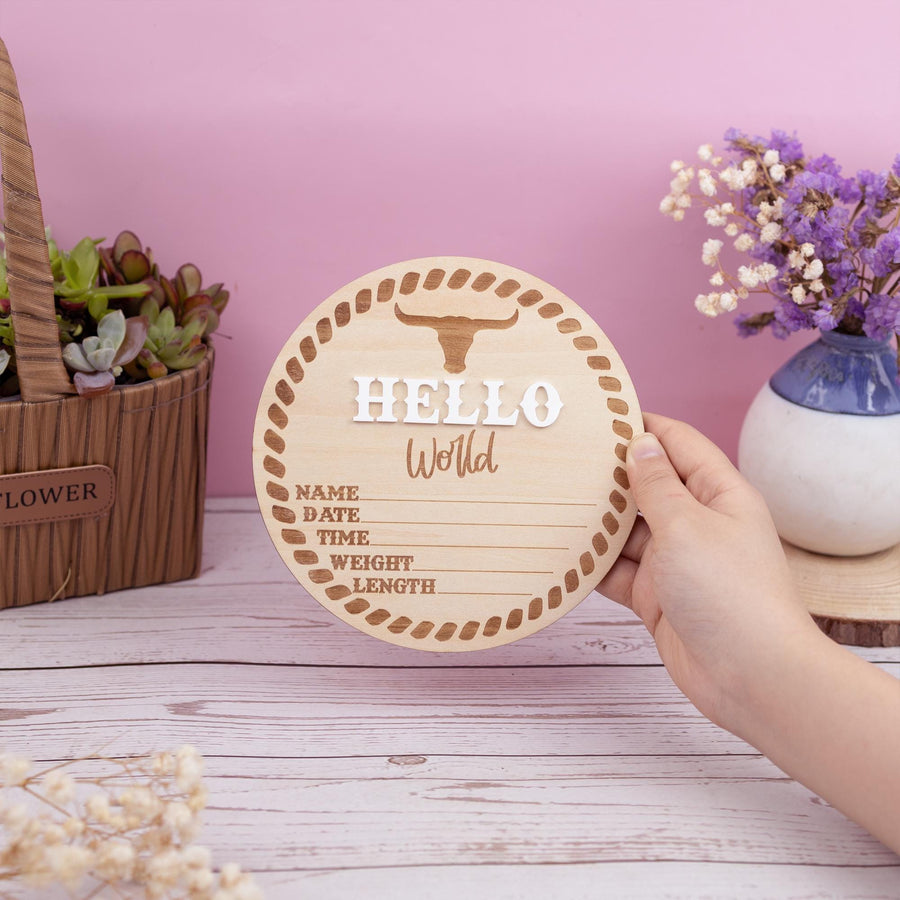 Baby Boy Announcement Sign, Baby Announcement Name Sign for Hospital, Name Plate Announcement, Newborn Sign for Boy, Newborn Gift, 3D Sign
