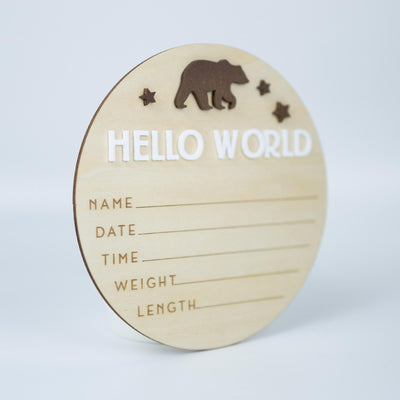 Hello World Sign, Birth Announcement, Birth Stats Sign, Baby Name Announcement, Hospital Name Sign, Newborn Wood Sign