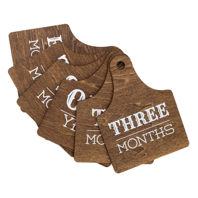 Wooden Baby Monthly Milestone Signs Set, Rustic First Year Photo Props
