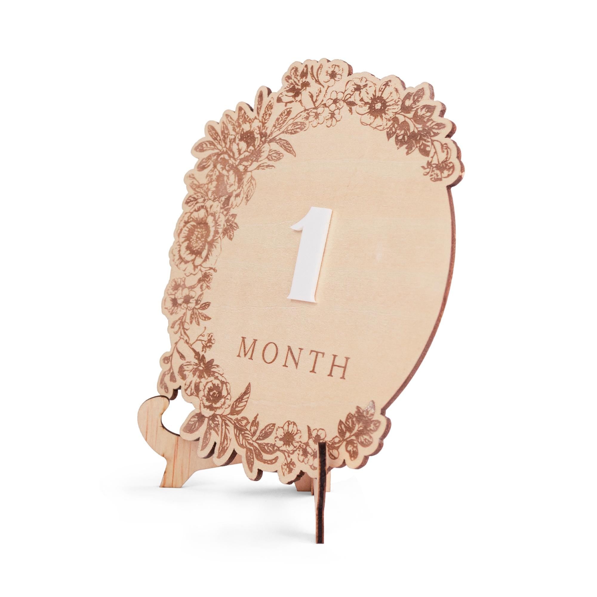 Floral Baby Monthly Milestones Girl, Interchangeable Milestone Set, Boho Baby Milestones, Wooden Newborn Photo Prop, Baby Photo Props Girl