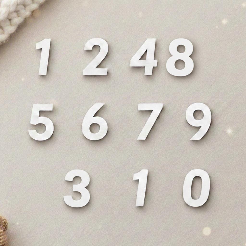 Acrylic Baby Monthly Milestone Sign with Numbers, Newborn Photo Prop