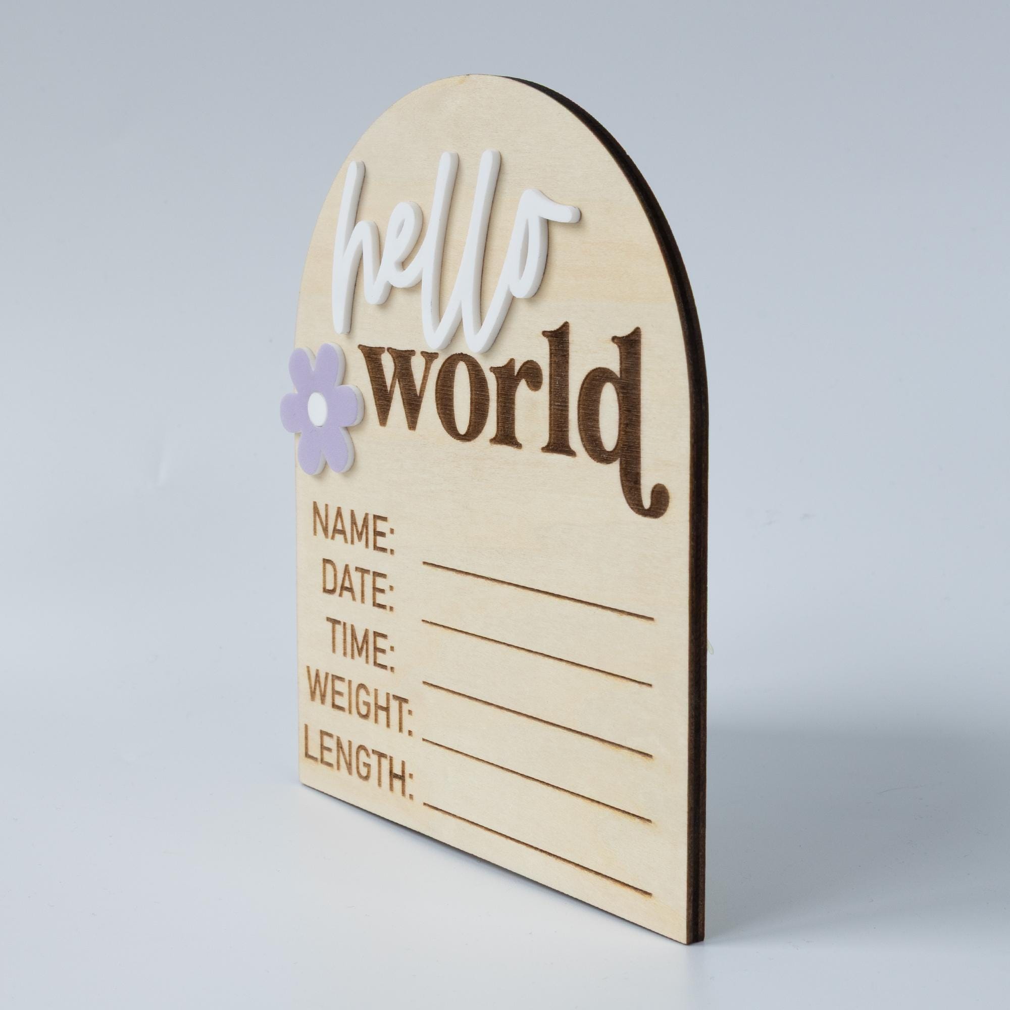Hello World Sign, Baby Birth Announcement, Baby Name Announcement, Hospital Name Sign, Birth Star Sign, I’m New Here, Surprise Gender Sign