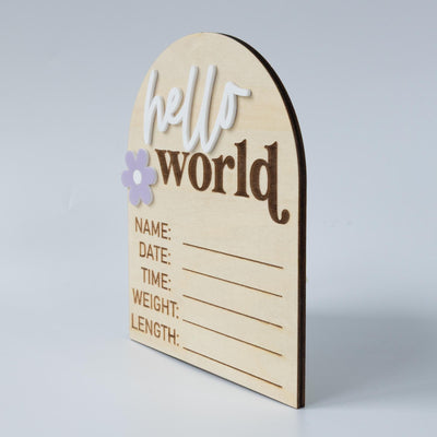 Hello World Sign, Baby Birth Announcement, Baby Name Announcement, Hospital Name Sign, Birth Star Sign, I’m New Here, Surprise Gender Sign