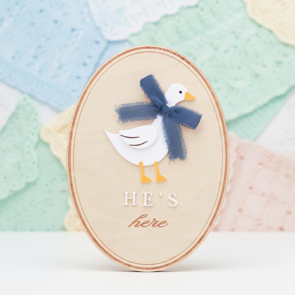 He’s Here Wooden Baby Announcement Sign, Newborn Nursery Decor