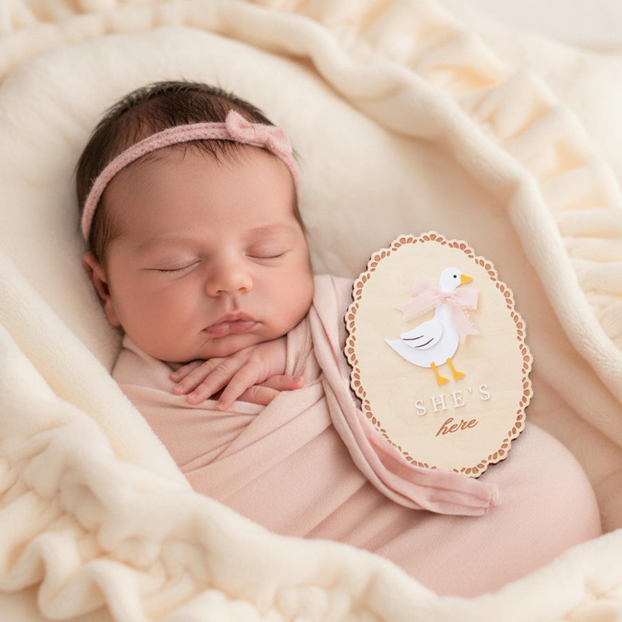 He’s Here She’s Here Wooden Baby Announcement Signs