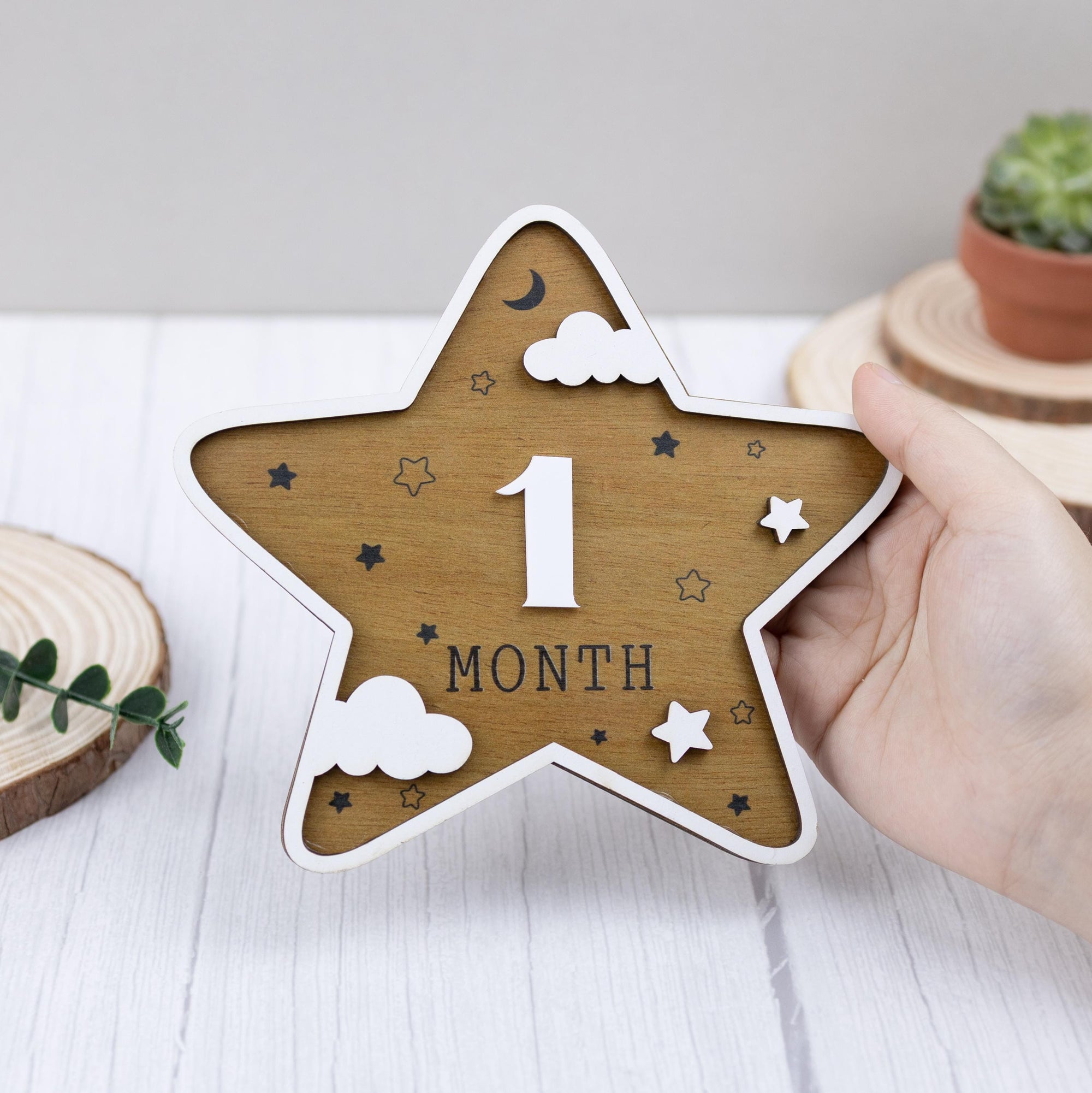 Baby Monthly Milestone Marker, Scalloped Monthly Baby Milestone Disc, Newborn Infant Month Prop, Baby Shower Gift, Night Sky Baby Photo Prop