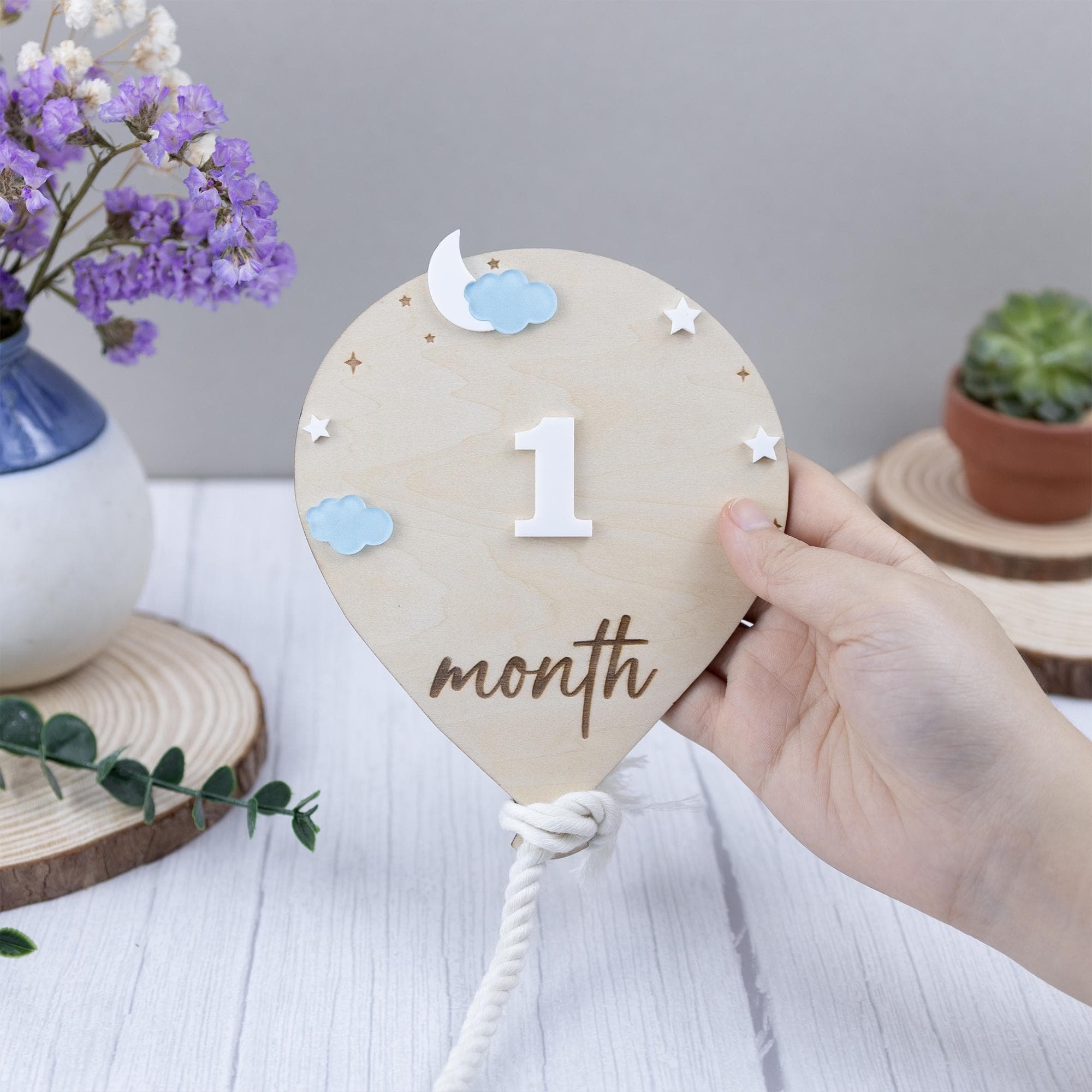 3D Monthly Milestone Discs for Baby Photos, Monthly Baby Milestone Discs, Engraved Wood Monthly Milestone Markers, Personalized Baby Sign