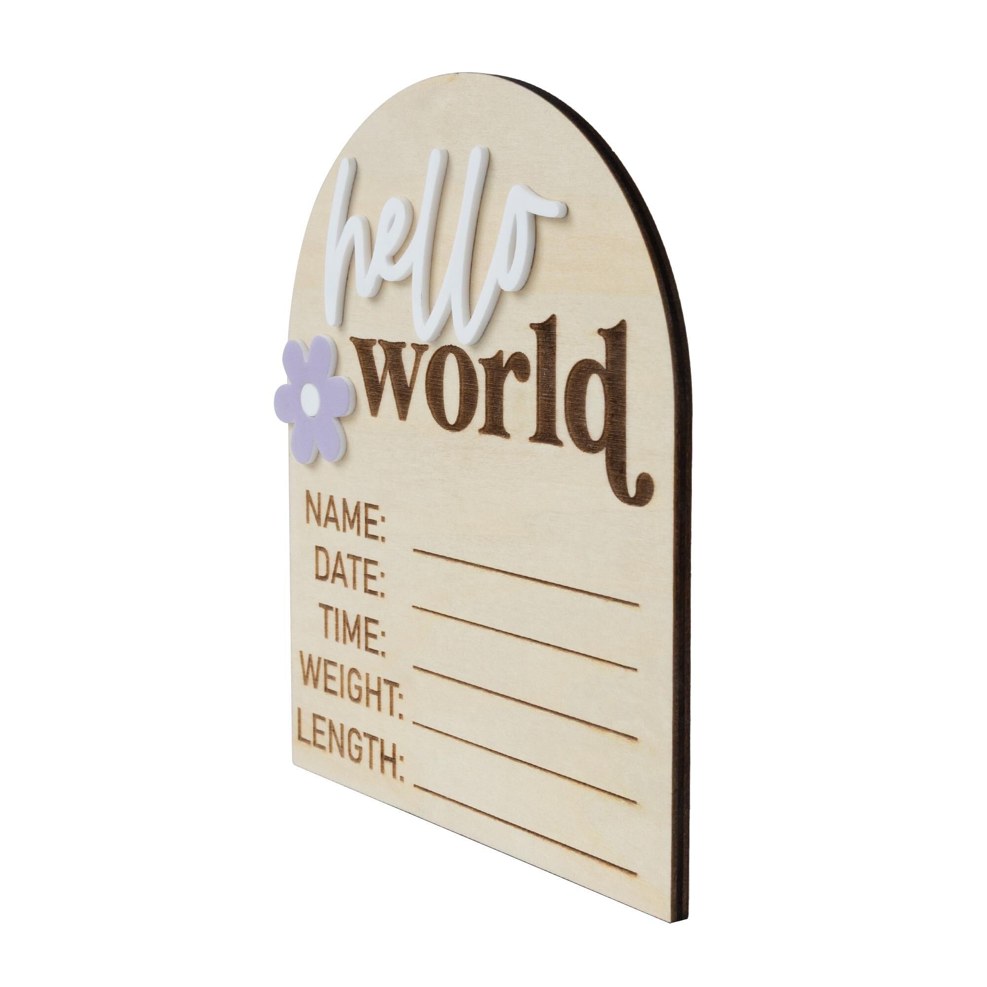 Hello World Sign, Baby Birth Announcement, Baby Name Announcement, Hospital Name Sign, Birth Star Sign, I’m New Here, Surprise Gender Sign
