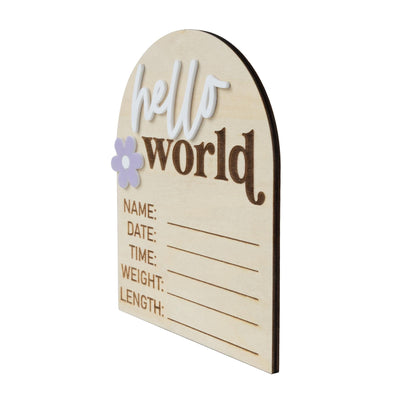 Hello World Sign, Baby Birth Announcement, Baby Name Announcement, Hospital Name Sign, Birth Star Sign, I’m New Here, Surprise Gender Sign