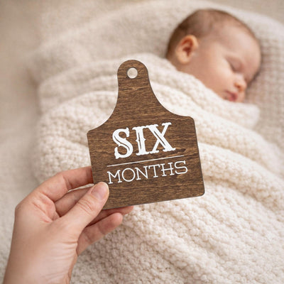 Wooden Baby Monthly Milestone Signs Set, Rustic First Year Photo Props
