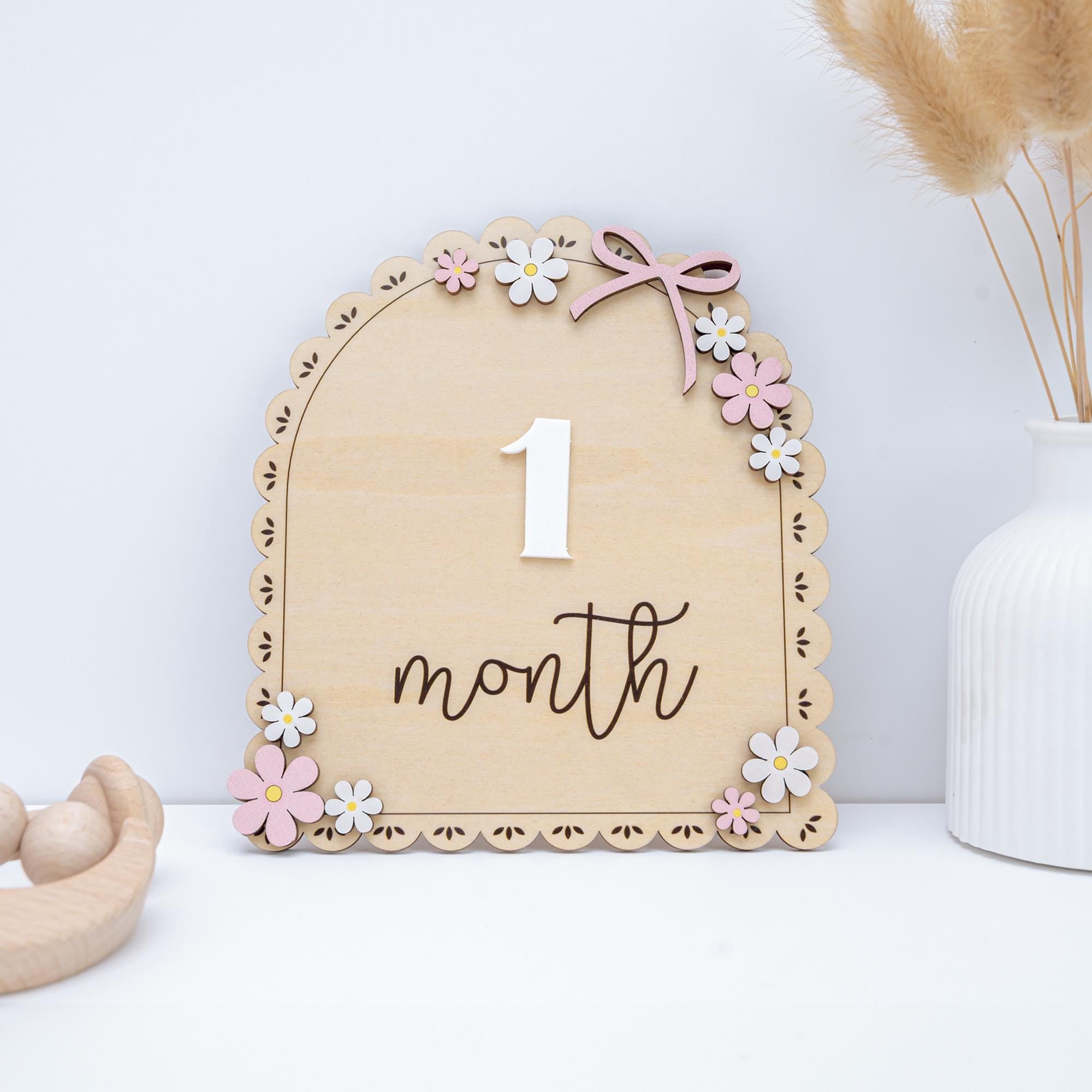 3D Baby Milestone Set Acrylic, Monthly Milestone Marker Wood, Baby's First Milestones, Boho Baby Milestone,Milestone Disc Baby,Nursery Decor