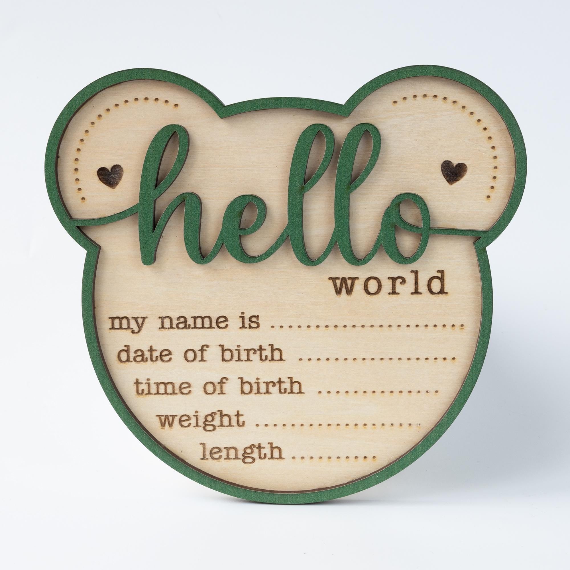 Baby Announcement Sign, Bear Baby Name Sign, Hello World Sign, Baby Boy Girl Birth Stats Sign, Custom Newborn Stats, Hospital Name Sign