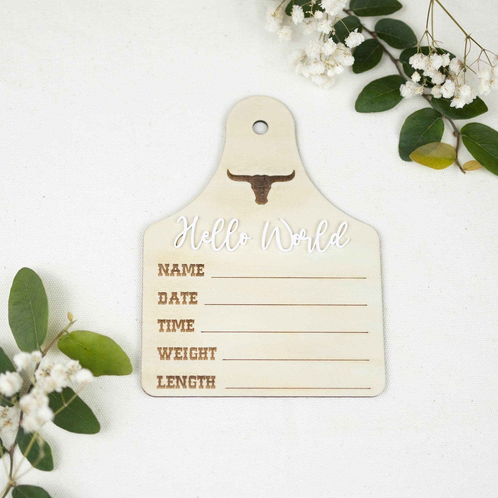 Baby Boy Birth Stats Sign, Hello World Baby Announcement Sign, Newborn Hospital Photo Prop, Boy Nursery Door Hanger, Newborn Photo Prop