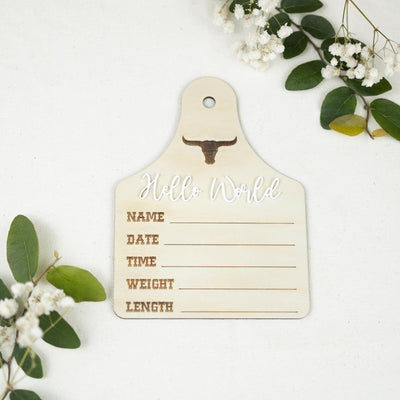 Baby Boy Birth Stats Sign, Hello World Baby Announcement Sign, Newborn Hospital Photo Prop, Boy Nursery Door Hanger, Newborn Photo Prop