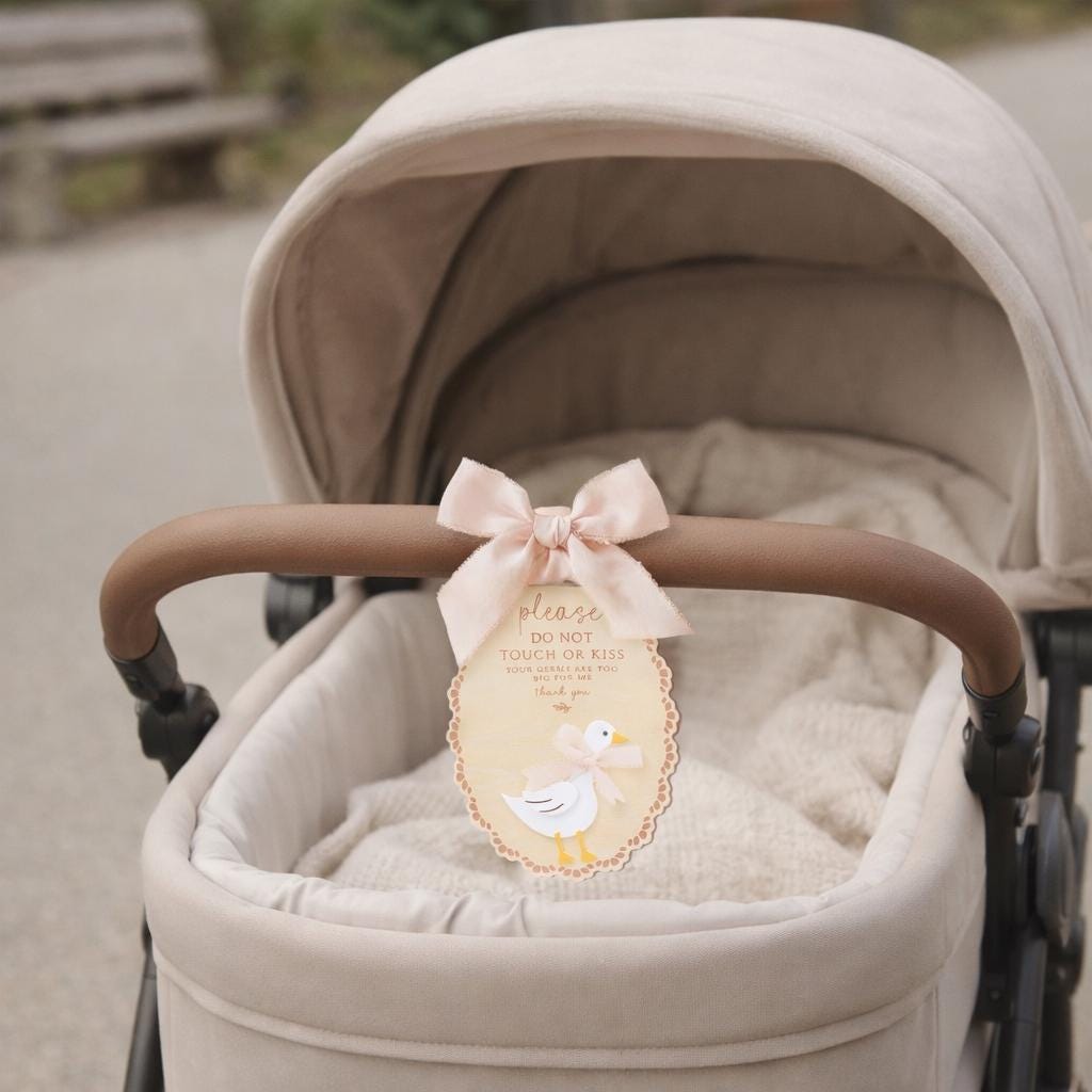 Please Do Not Touch or Kiss Baby Sign, Wooden Stroller Tag