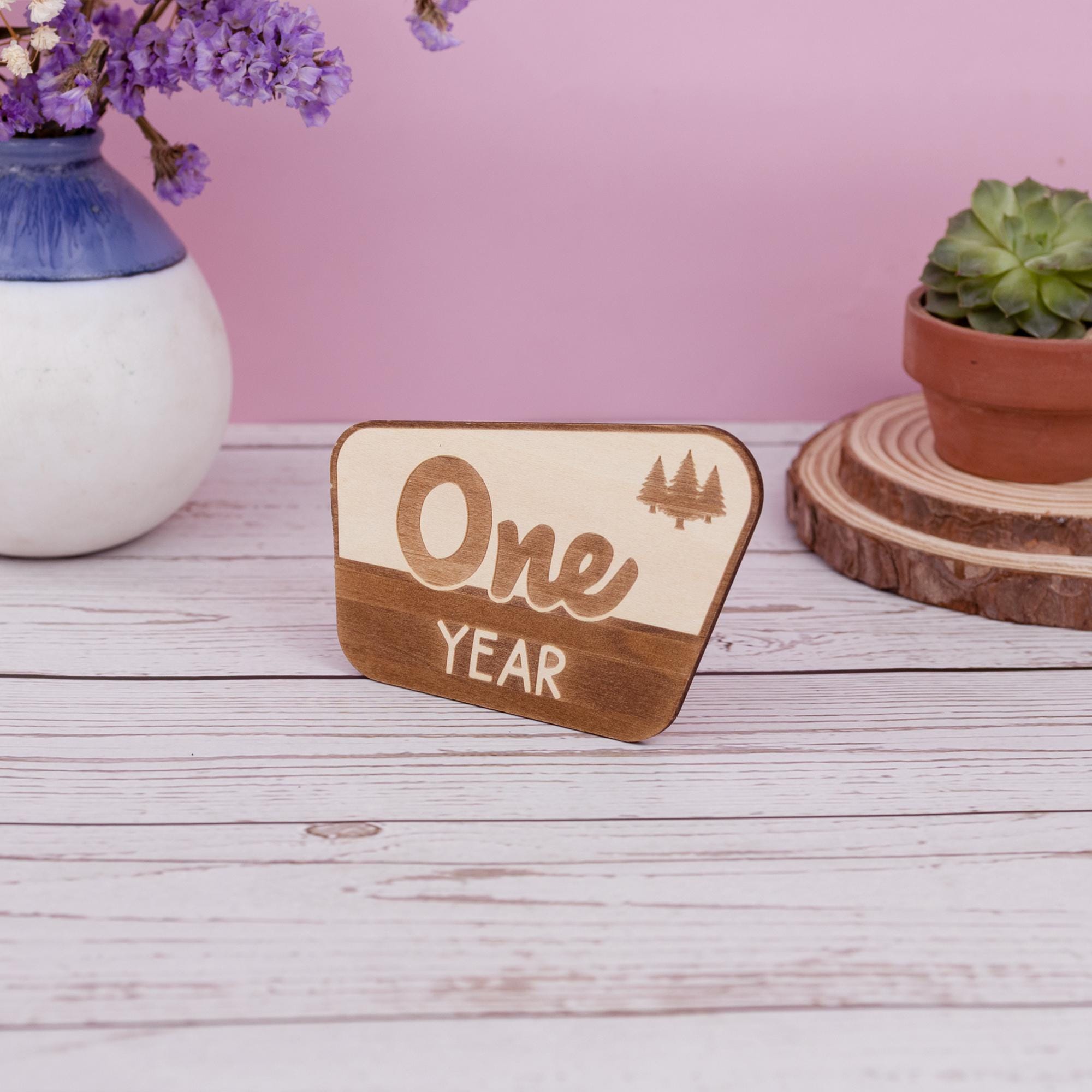 National Park Baby Milestone, Nursery National Park Decor, Baby Monthly Milestone, Wood Baby Milestone Cards, National Park Baby Shower
