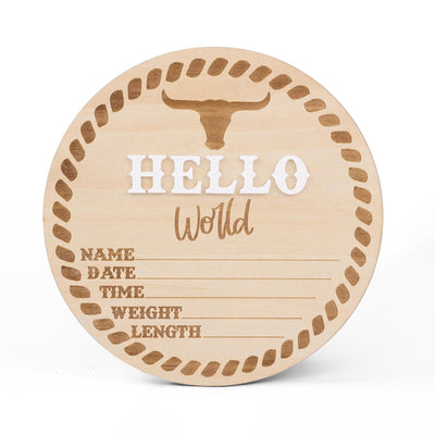 Baby Boy Announcement Sign, Baby Announcement Name Sign for Hospital, Name Plate Announcement, Newborn Sign for Boy, Newborn Gift, 3D Sign