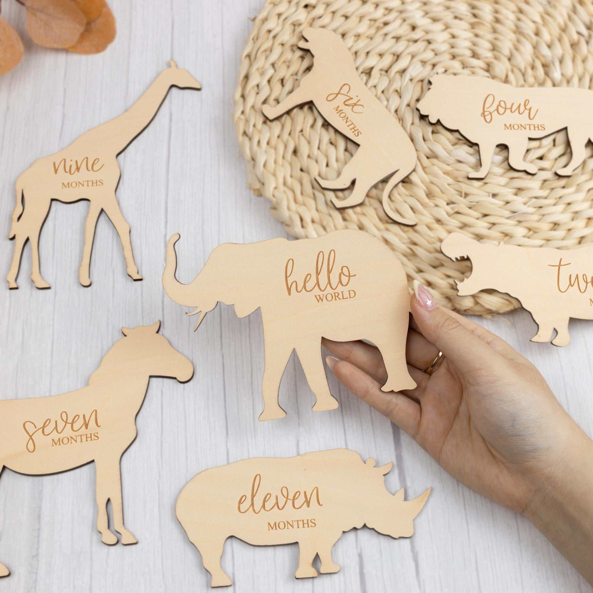 Monthly Milestone Marker Animal Theme, Safari Animal Baby Milestone Set, Safari Animals For Baby Photos, Baby Milestone Cards, Hello World