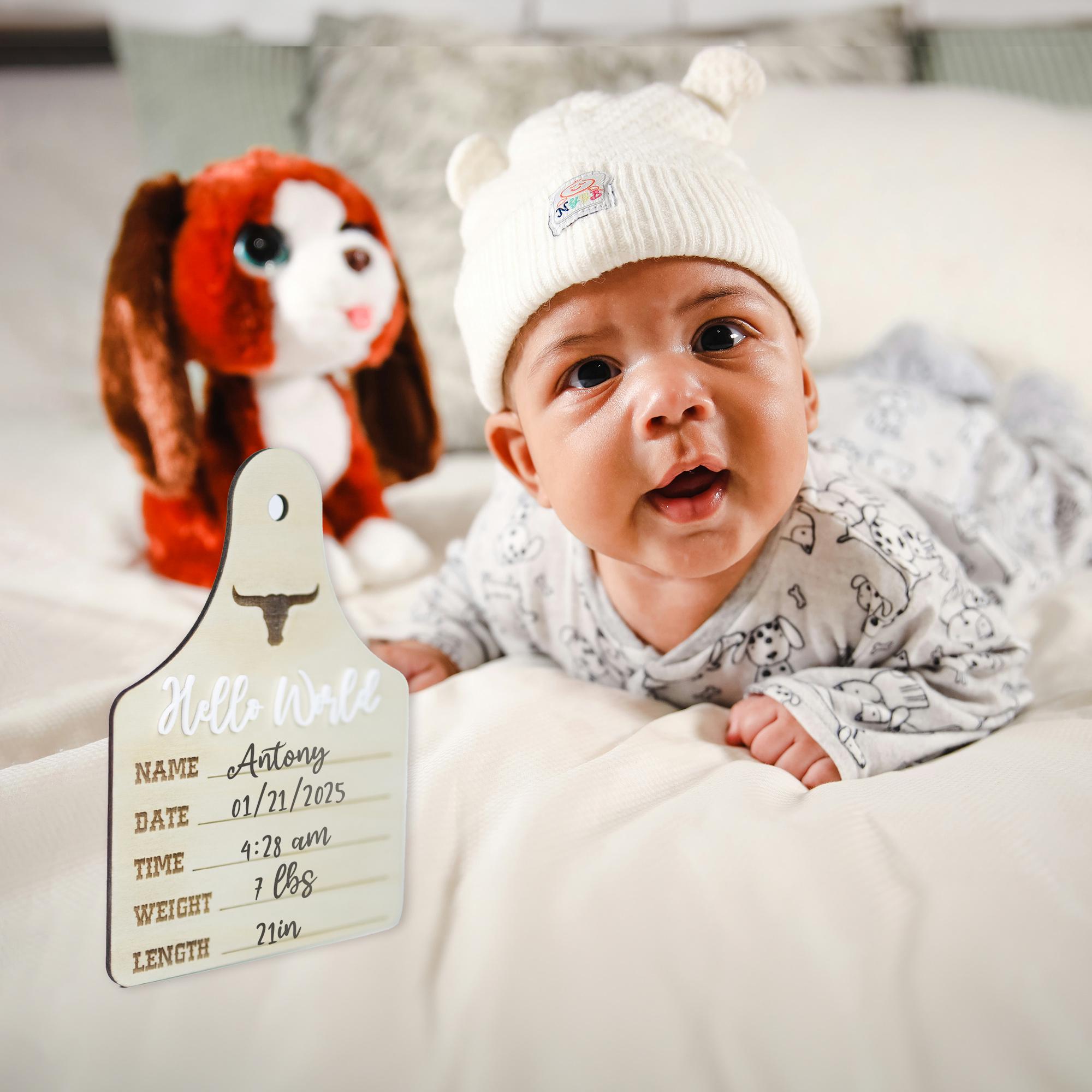 Baby Boy Birth Stats Sign, Hello World Baby Announcement Sign, Newborn Hospital Photo Prop, Boy Nursery Door Hanger, Newborn Photo Prop