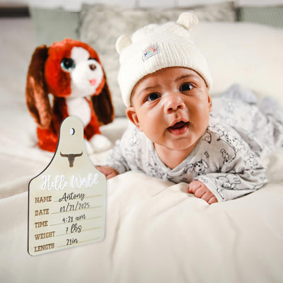 Baby Boy Birth Stats Sign, Hello World Baby Announcement Sign, Newborn Hospital Photo Prop, Boy Nursery Door Hanger, Newborn Photo Prop