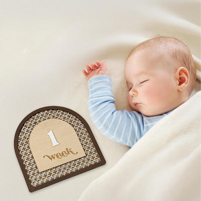 Rattan Milestone, Interchangeable Monthly Milestone, Arch Milestone Card, Boho Baby Milestone, Newborn Photo Prop, Baby Keepsake Gift