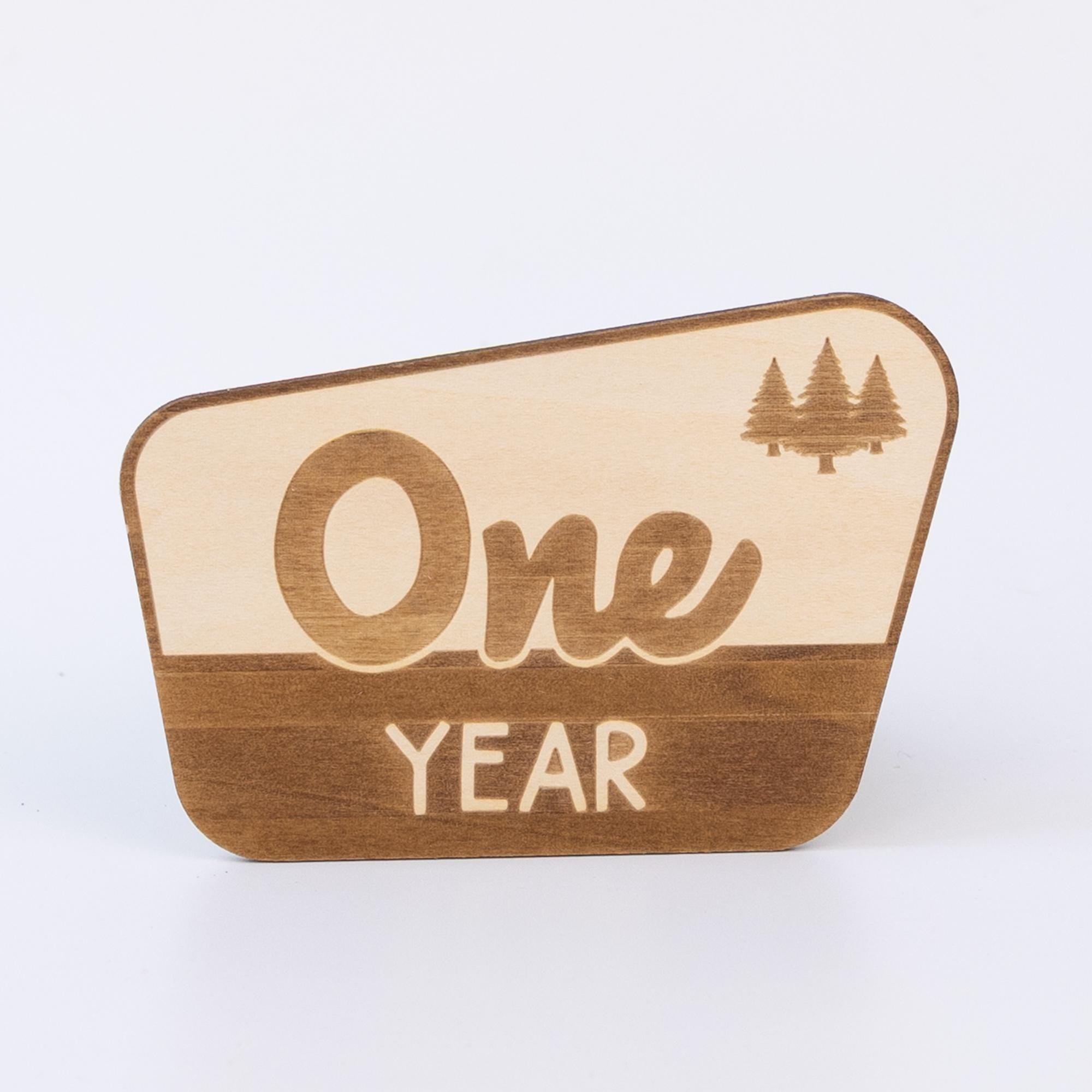 National Park Baby Milestone, Nursery National Park Decor, Baby Monthly Milestone, Wood Baby Milestone Cards, National Park Baby Shower