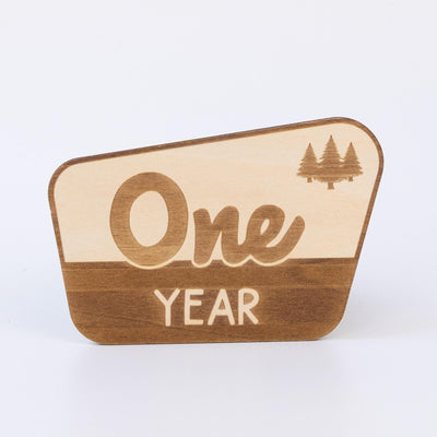 National Park Baby Milestone, Nursery National Park Decor, Baby Monthly Milestone, Wood Baby Milestone Cards, National Park Baby Shower