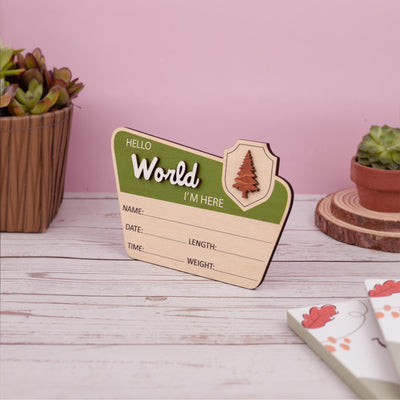 Baby Announcement With Birth Stats, National Park Baby Name Sign, Woodland Nursery Name Sign, Baby Photo Prop, Custom Newborn Reveal Sign