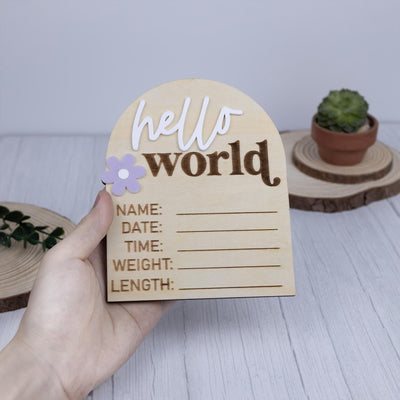 Hello World Sign, Baby Birth Announcement, Baby Name Announcement, Hospital Name Sign, Birth Star Sign, I’m New Here, Surprise Gender Sign