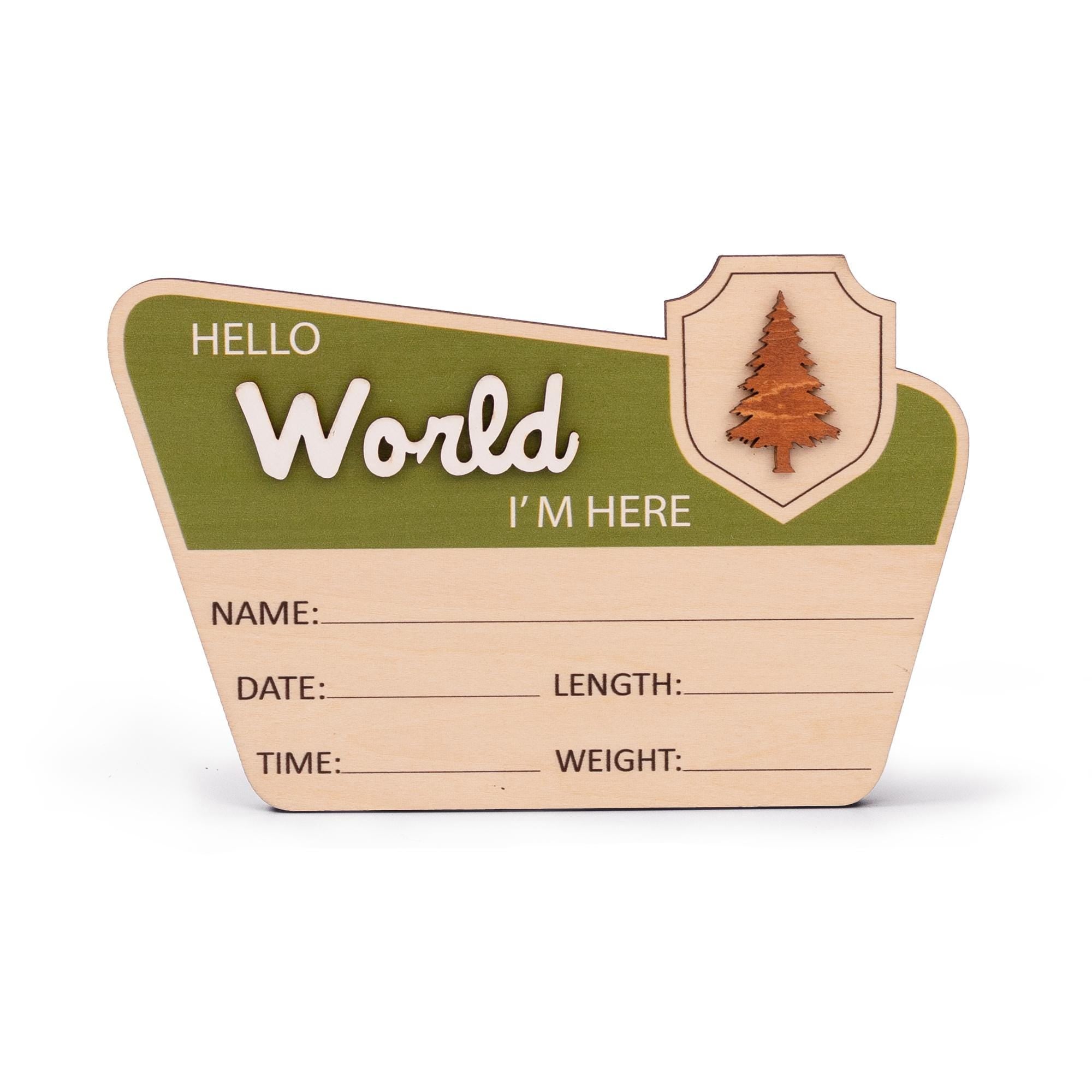 Baby Announcement With Birth Stats, National Park Baby Name Sign, Woodland Nursery Name Sign, Baby Photo Prop, Custom Newborn Reveal Sign
