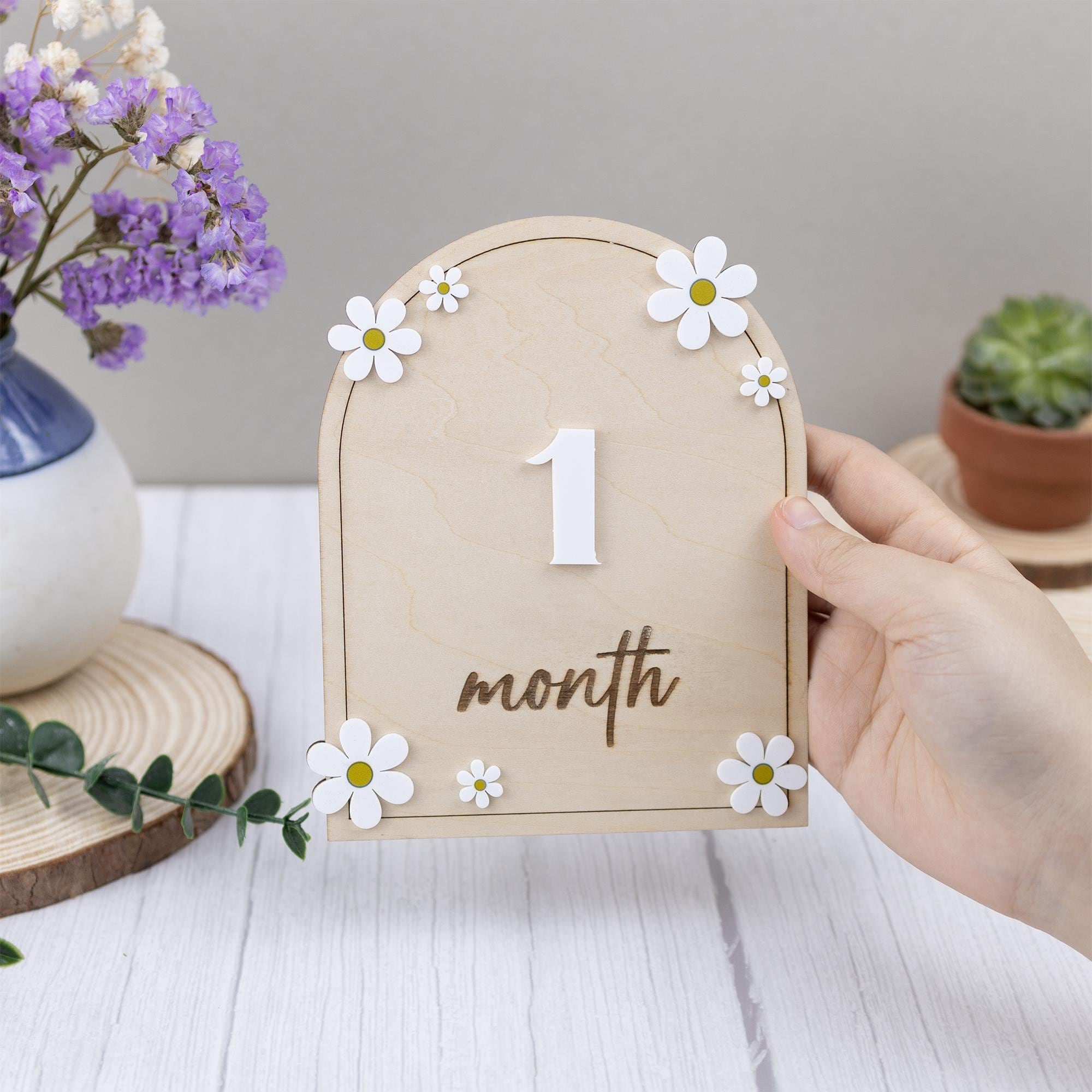 Daisy Flower Baby Months Milestones, Wooden 3D Monthly Milestone Discs For Baby Photos, Monthly Milestone Markers, Personalized Baby Sign