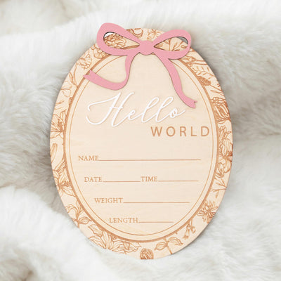 Hello World Baby Announcement Sign Personalized Birth Stats Sign Newborn Hospital Photo Prop Baby Girl Announcement Gift
