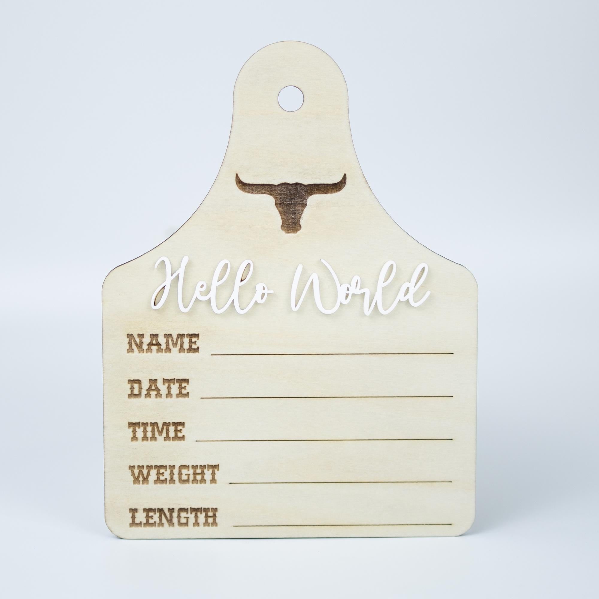 Baby Boy Birth Stats Sign, Hello World Baby Announcement Sign, Newborn Hospital Photo Prop, Boy Nursery Door Hanger, Newborn Photo Prop