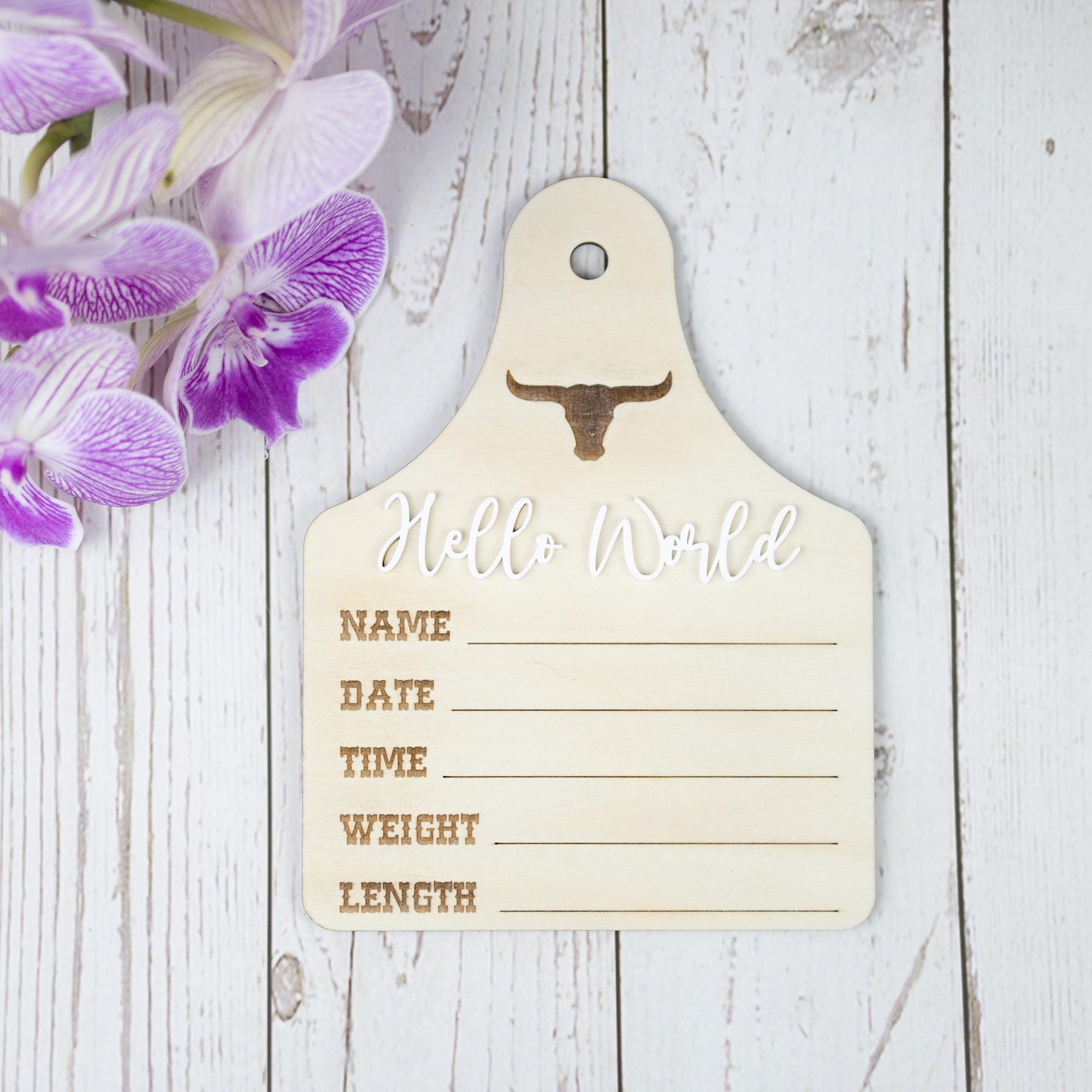 Baby Boy Birth Stats Sign, Hello World Baby Announcement Sign, Newborn Hospital Photo Prop, Boy Nursery Door Hanger, Newborn Photo Prop