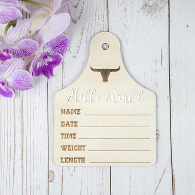 Baby Boy Birth Stats Sign, Hello World Baby Announcement Sign, Newborn Hospital Photo Prop, Boy Nursery Door Hanger, Newborn Photo Prop