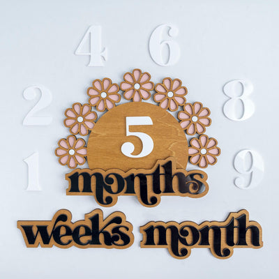 Wooden Baby Milestone Set, Daisy Milestone, Newborn Photo Prop Girl, Monthly Milestones Photo Props, Weekly Newborn, Boho Baby Milestone