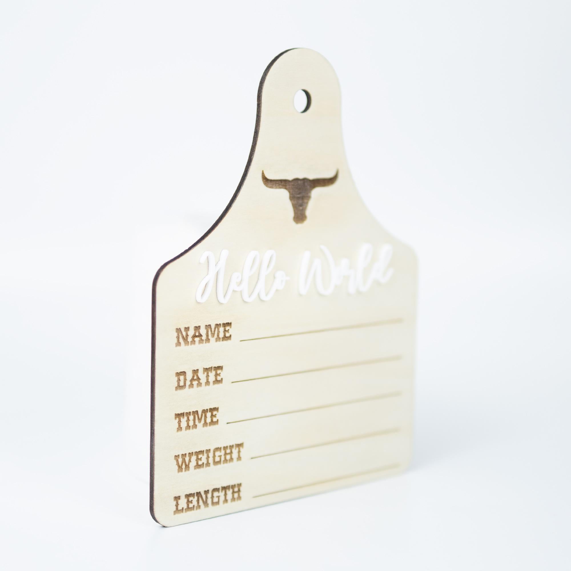 Baby Boy Birth Stats Sign, Hello World Baby Announcement Sign, Newborn Hospital Photo Prop, Boy Nursery Door Hanger, Newborn Photo Prop