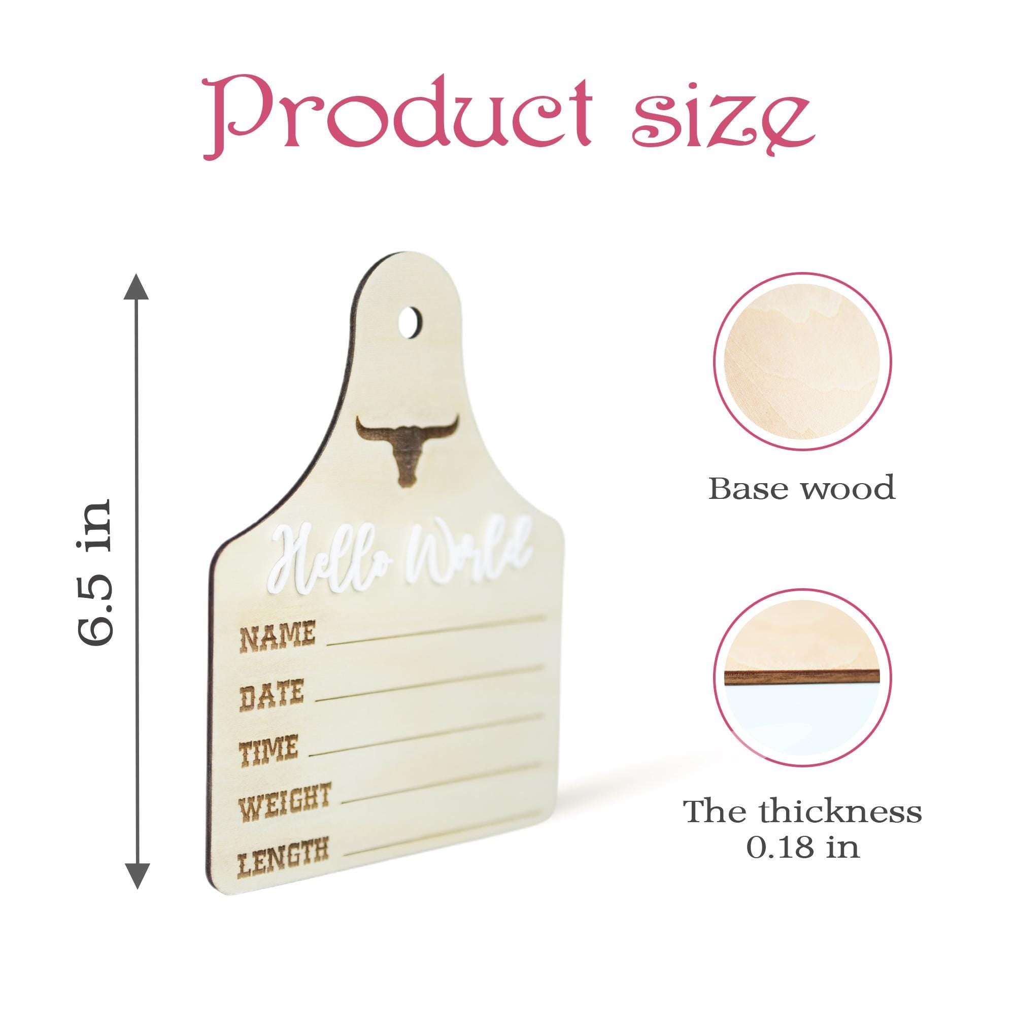Baby Boy Birth Stats Sign, Hello World Baby Announcement Sign, Newborn Hospital Photo Prop, Boy Nursery Door Hanger, Newborn Photo Prop