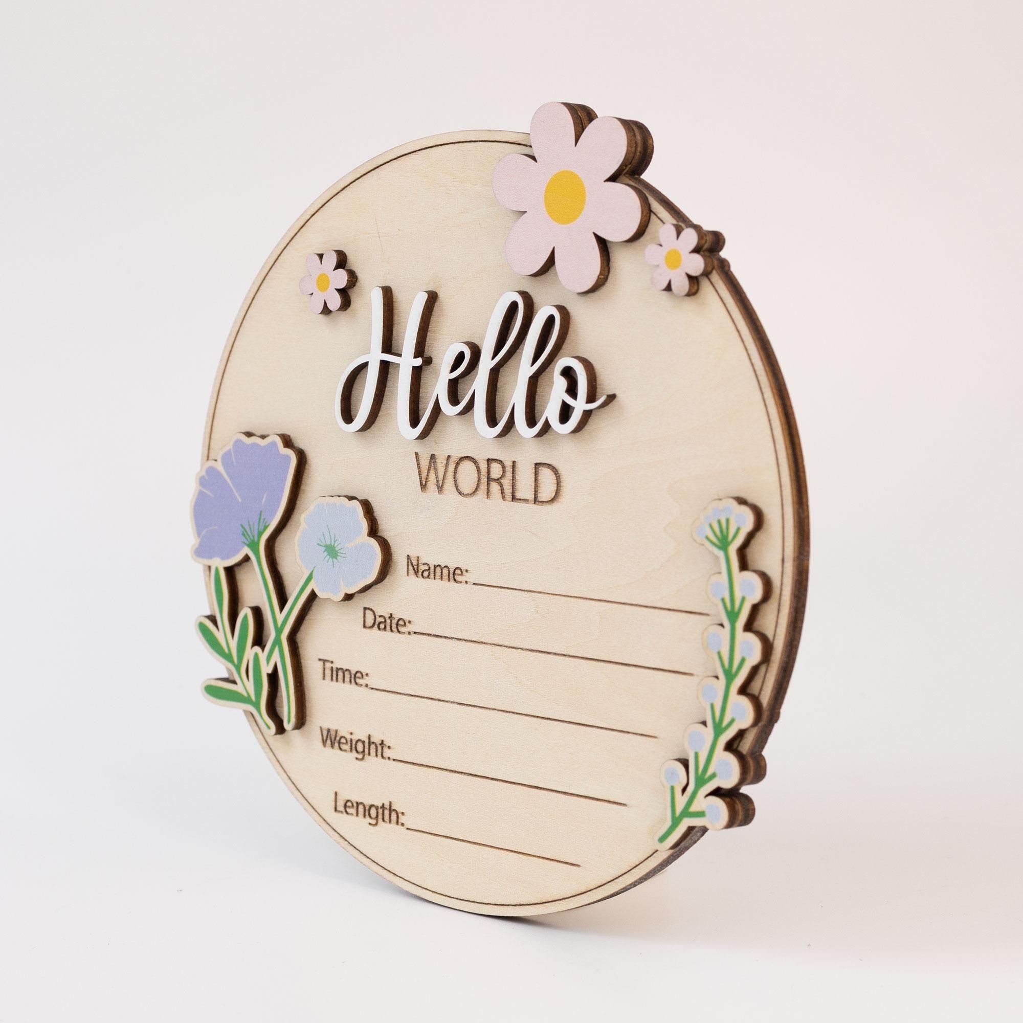 Birth Announcement Sign For Girl, Baby Announcement Name Sign For Hospital, Baby Announcement Sign, Coquette Daisy Newborn Gift,Newborn Sign