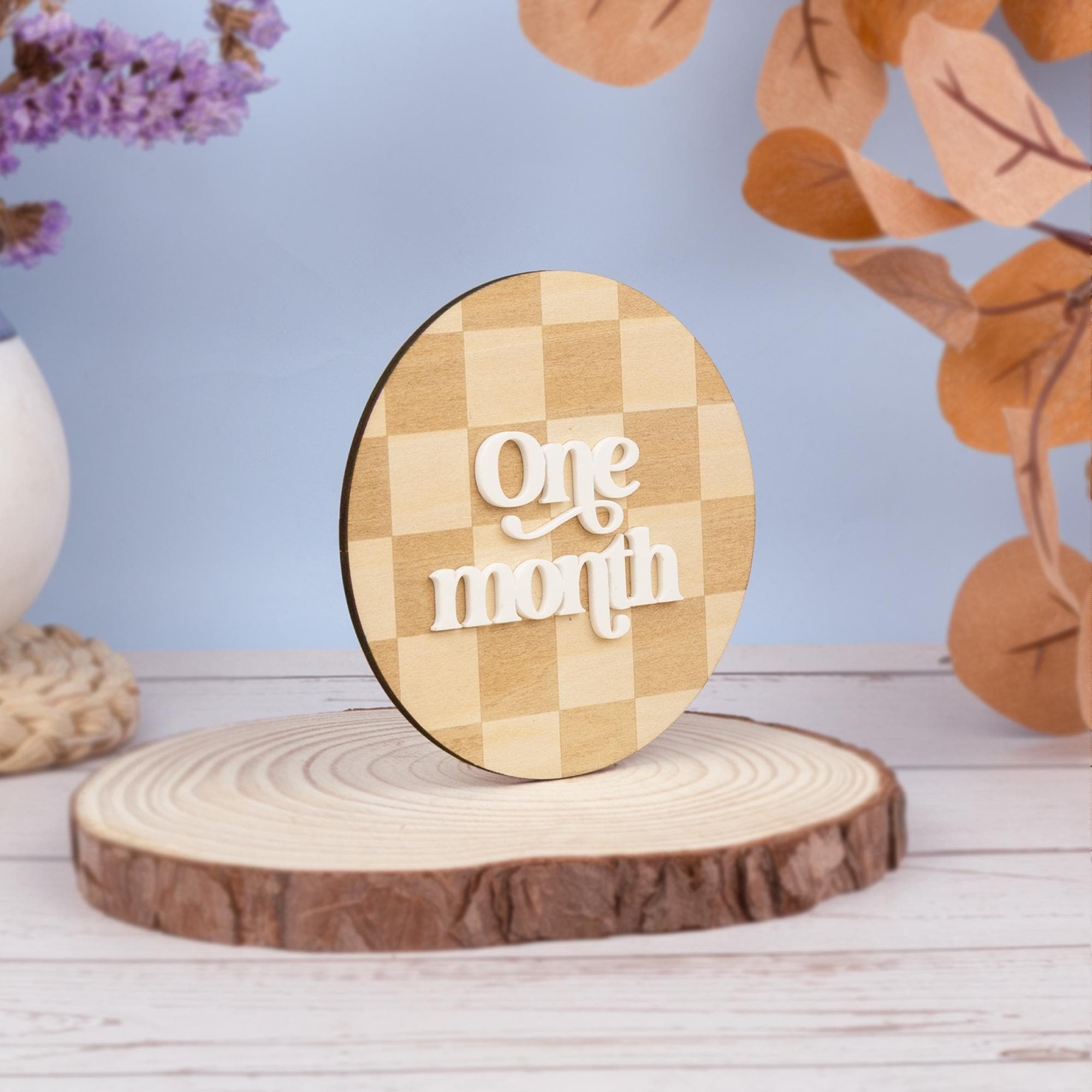 Baby Milestone Set, Monthly Milestone Disc Set, Baby Monthly Milestone Cards, 3D Baby Photo Prop Set, Baby Shower Gift, Newborn Keepsake