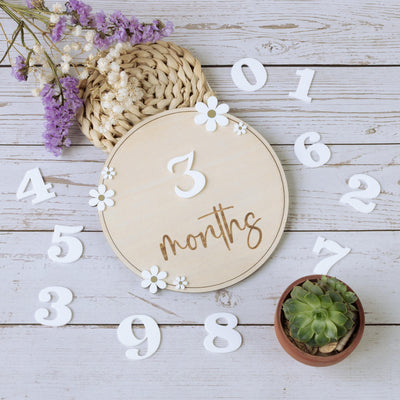 Baby Monthly Milestone Sign, Baby Photo Prop, Baby Girl Month Milestone, Monthly Milestone Photo, Monthly Milestone Sign, Milestone Marker