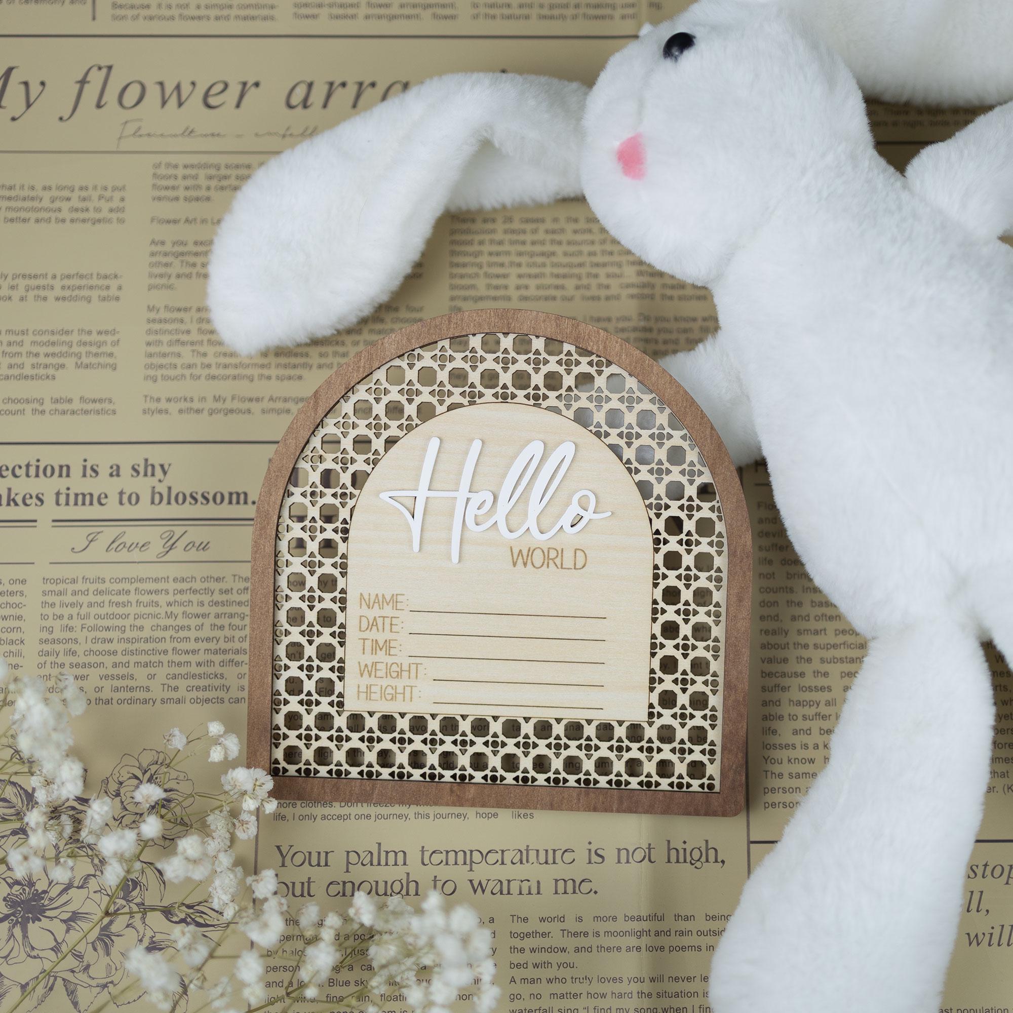 Birth Announcement Sign, Baby Name Sign, Hello World Sign, Hospital Photo Prop, Baby Keepsake, Baby Stat Sign,  Baby Name With Birth Stats