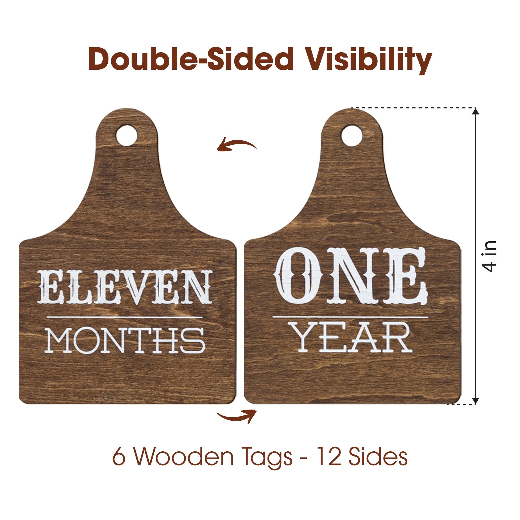 Wooden Baby Monthly Milestone Signs Set, Rustic First Year Photo Props
