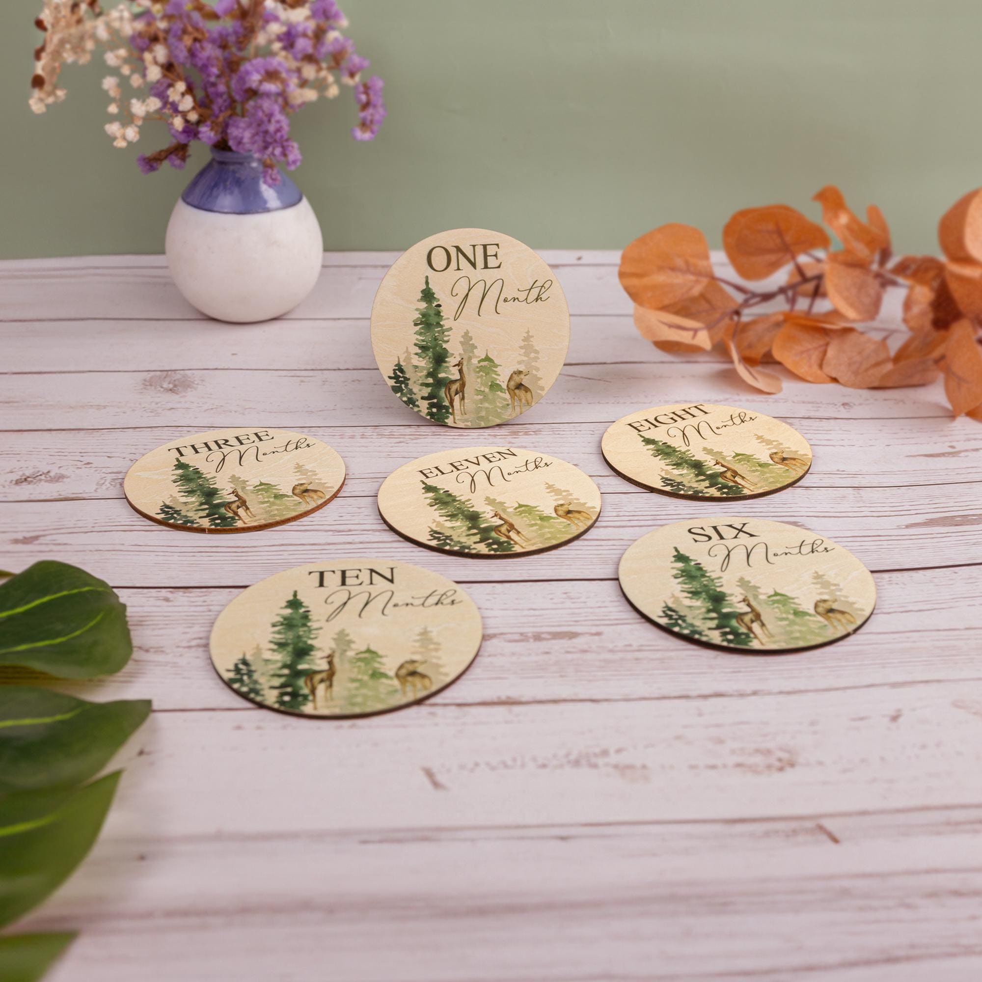 Monthly Milestone Disc For Baby Photos Wooden, Baby Monthly Milestone, Baby Milestone Discs, Newborn Gift, Baby Shower Gift,Baby Photo Props