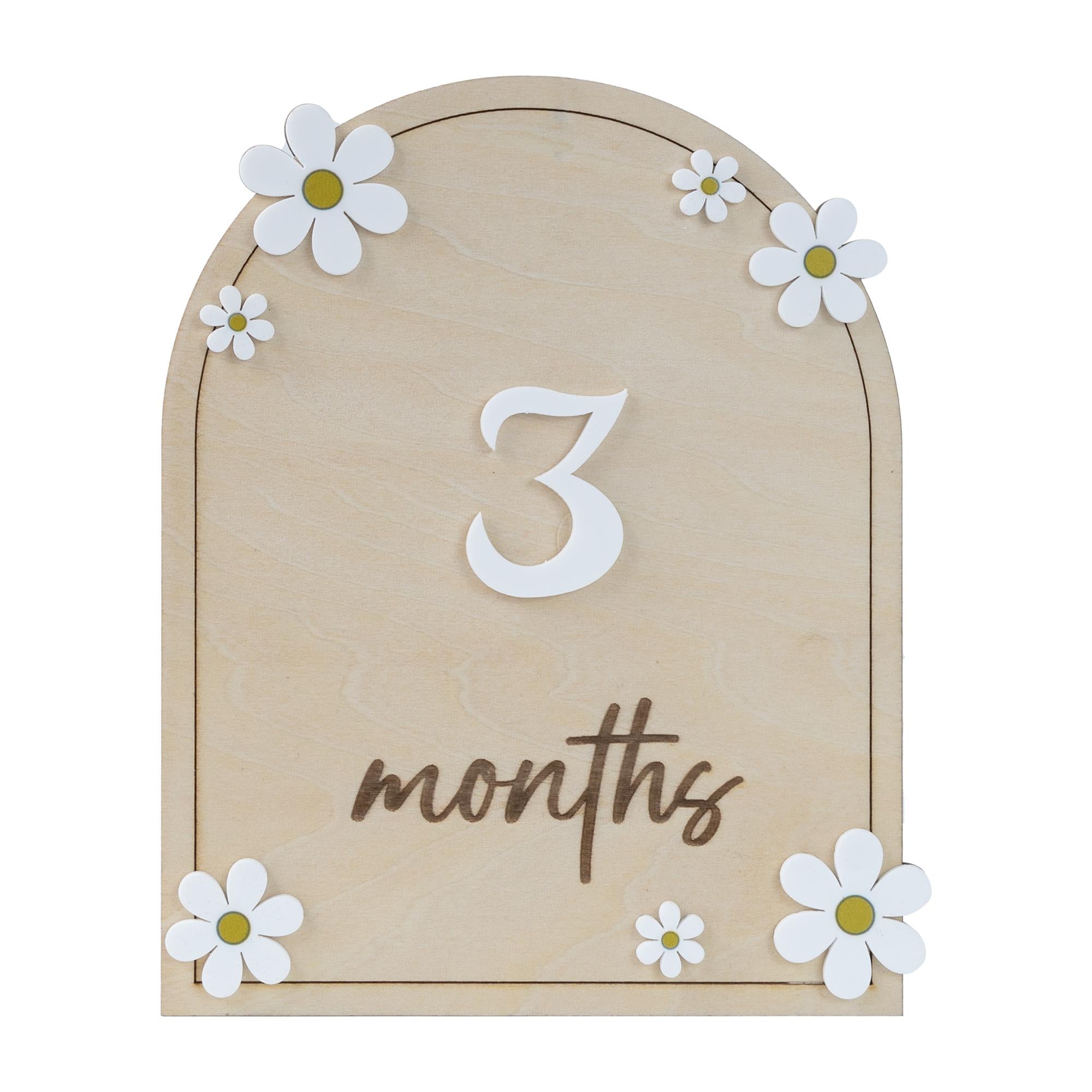 Daisy Flower Baby Months Milestones, Wooden 3D Monthly Milestone Discs For Baby Photos, Monthly Milestone Markers, Personalized Baby Sign